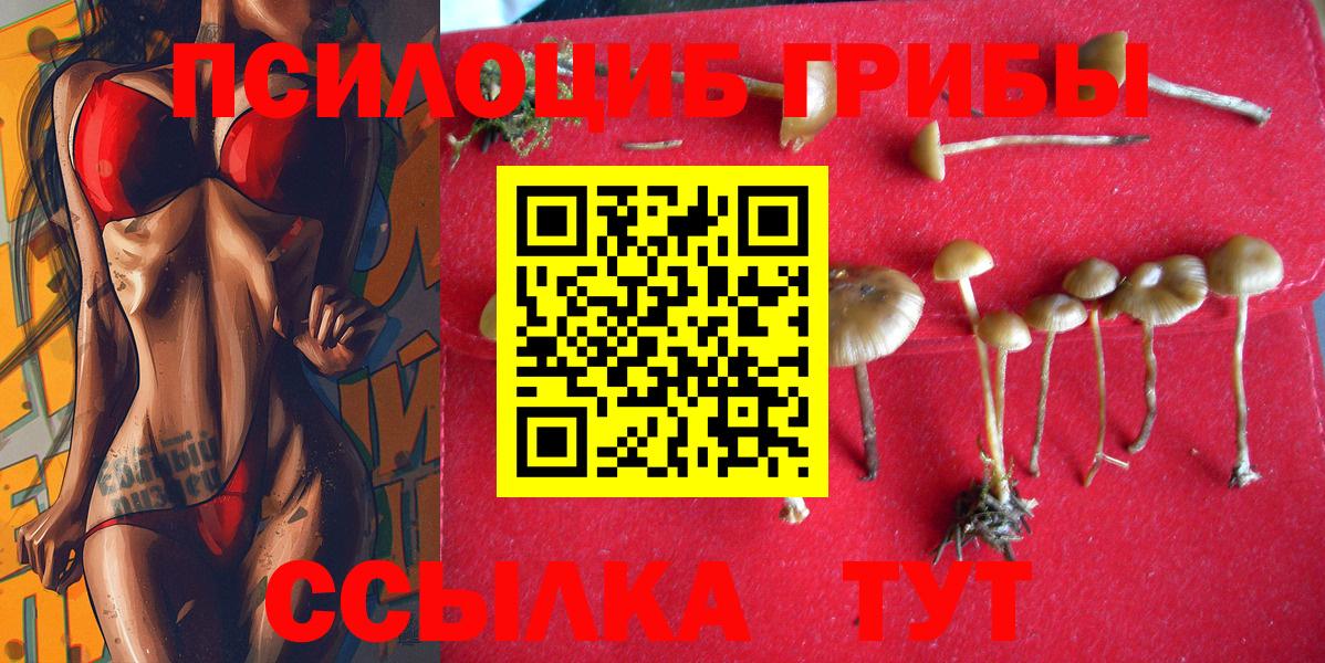Галлюциногенные грибы прущие грибы Сорочинск